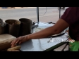 Making Thai Roti at Market 5 2269